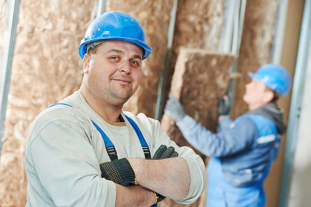 Best Local Insulation Services  in , VT